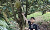 'Tùng FoodMap' đưa nông sản lên sàn
