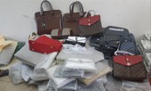 Giả mạo hồ sơ, buôn lậu hơn 31 tỷ đồng