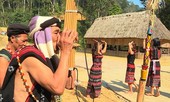 Khai năm tạ ơn rừng