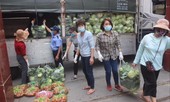 Nông sản Hà Nội cũng cần 'giải cứu'