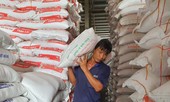 Gạo Việt Nam lập đỉnh giá mới