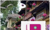 Thượng tọa Thích Đức Thiện: Cúng dường online là thử nghiệm