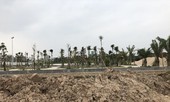 Nguồn cung nhà ở xã hội thiếu: Giả mạo chủ đầu tư nhận cọc