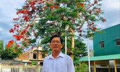 Thầy giáo nuôi nhiều trò mồ côi