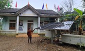 Chuyên gia nói gì về dự án điện mặt trời gần 14 triệu USD thành 'phế liệu'?