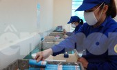 Khám phá nhà máy sản xuất pháo hoa duy nhất được cấp phép tại Việt Nam
