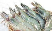 Cách xào hải sản chua ngọt hấp dẫn, ăn kèm cơm nóng ngày mưa