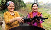 Thí điểm mô hình sản xuất than sinh học tại Câu lạc bộ liên thế hệ tự giúp nhau