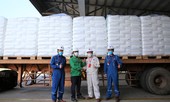 BSR sản xuất và xuất bán sản phẩm hạt nhựa mới T3045