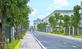 Thị trường bất động sản thích nghi với dịch COVID - 19