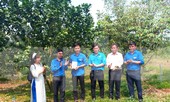 Bình Phước khởi động Tháng Thanh niên với chuỗi hoạt động ý nghĩa