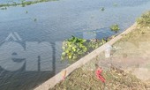 Phát hiện thi thể nam giới trôi trên sông Sài Gòn