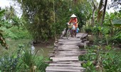 Người dân Hậu Giang thót tim qua cầu... chờ sập