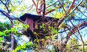 Trải nghiệm cuộc sống… nguyên thủy