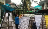Củng cố kiến thức học trực tuyến