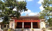 Chuyện ít biết về 'Cô Dinh'