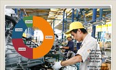 Hướng tới mục tiêu 1,2 - 1,5 triệu doanh nghiệp: Kỳ vọng nội lực Việt