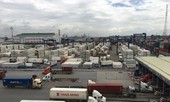 Giữa lúc thiếu vỏ container xuất khẩu, cả nghìn container vô chủ 'đắp chiếu'