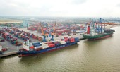Lập tổ kiểm tra cước vận tải container vẫn tăng sau Tết