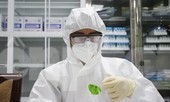 Tiêm thử nghiệm vắc xin ngừa COVID-19 giai đoạn 2 cả người có bệnh lý nền