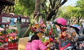 Hoa tươi 8/3 ở Huế ế ẩm do giá cao, hoa giả gắn tiền thật 'lên ngôi'