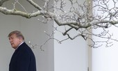 THẾ GIỚI 24H: Nhà Trắng tổ chức lễ chia tay ông Trump tại căn cứ không quân