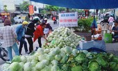 Tình nguyện viên Đà Nẵng giải cứu hàng trăm tấn nông sản Hải Dương
