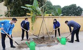 Tuổi trẻ Thủ đô trồng 15.000 cây xanh trong Tháng Thanh niên