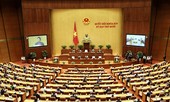 Có thể bỏ phiếu kín khi lựa chọn người ứng cử đại biểu Quốc hội