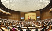 Dự kiến tối đa 14 Ủy viên Bộ Chính trị, Bí thư T.Ư Đảng làm đại biểu Quốc hội