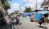 TPHCM cấm đào đường dịp Tết Nguyên đán