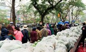 Người Hà Nội đội mưa 'giải cứu' hàng chục tấn nông sản