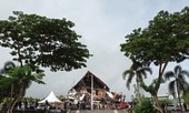 Bảy người chết, hơn 600 người bị thương vì động đất ở Indonesia