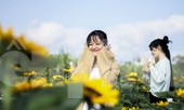 Bạn trẻ lạc giữa đồng hoa đang độ khoe sắc ngày xuân