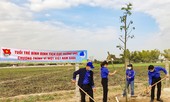 Bình Định ra quân Tết trồng cây