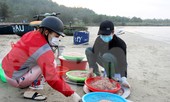 Ngư dân Đà Nẵng nhộn nhịp vào mùa 'xúc' lộc biển