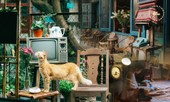Hà Nội phố: Những quán cà phê độc đáo, chất lừ và yên tĩnh cực hợp để teen sống ảo đầu năm
