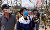 Người Hà Nội 'săn' hoa lê tiền triệu dịp rằm tháng Giêng