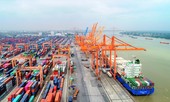 Phê duyệt chủ trương xây dựng 2 bến container tại Khu bến cảng Lạch Huyện