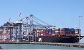 Nhiều thuyền viên dương tính với SARS-CoV-2, tàu Ocean Amazing không được nhập cảnh