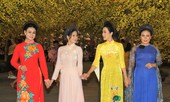 Đàm Vĩnh Hưng cùng dàn nghệ sĩ rộn ràng đón xuân ở phố hoa mai giữa lòng Sài thành