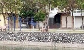 Ra công viên ‘tâm sự’, đôi bạn trẻ Hải Dương bị phạt 4 triệu đồng