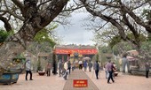 Lần đầu tiên đền Trần vắng nhất trong hơn 30 năm qua, phát ấn theo cách đặc biệt