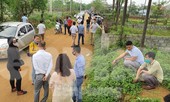 Loạt khu vực ở Hà Nội ‘sốt đất’: Mua bán chủ yếu giữa các nhà đầu cơ