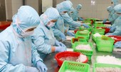Mỹ không áp thuế với hàng xuất khẩu Việt Nam