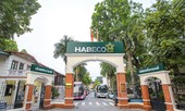 Bộ Công Thương sắp nhận 536 tỷ đồng cổ tức từ Habeco