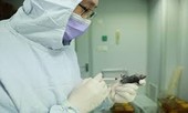 Giải mã gen 2 ca bệnh mắc mới COVID-19 tại Quảng Ninh và Hải Dương