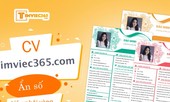CV timviec365.com - Ẩn số cần được giải đáp về “cơ hội vàng”