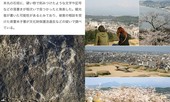 Nhật Bản điều tra dòng chữ tiếng Việt khắc trên di tích lịch sử quốc gia nước này
