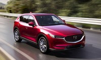 Loạt SUV đã qua sử dụng bền bỉ nhất